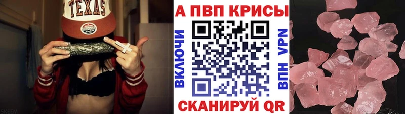 Купить закладки  Губкин  Альфа ПВП СК КРИС 