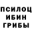 Псилоцибиновые грибы GOLDEN TEACHER Garde Marin