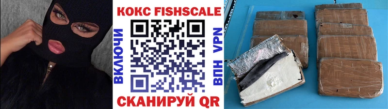 Купить  Губкин  КОКАИН FishScale 