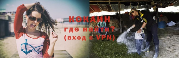 кокс Касимов