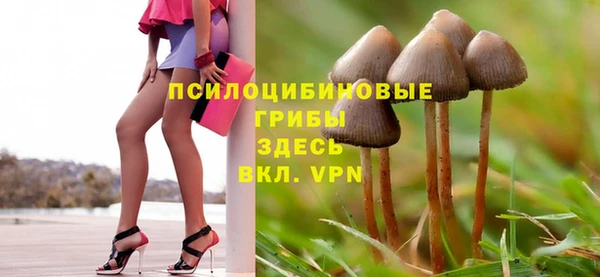 кокс Касимов