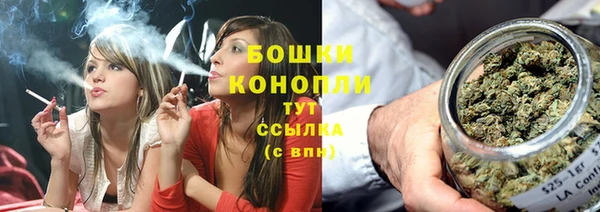 кокс Касимов