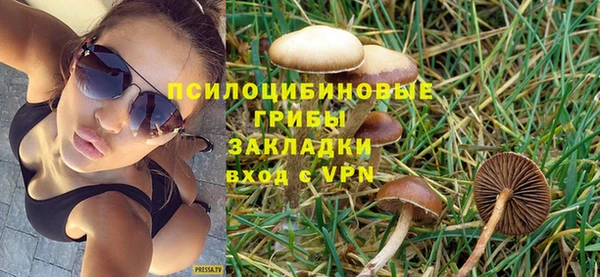 кокс Касимов