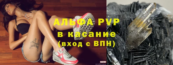 кокс Касимов
