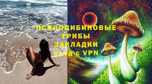 крисы Карпинск