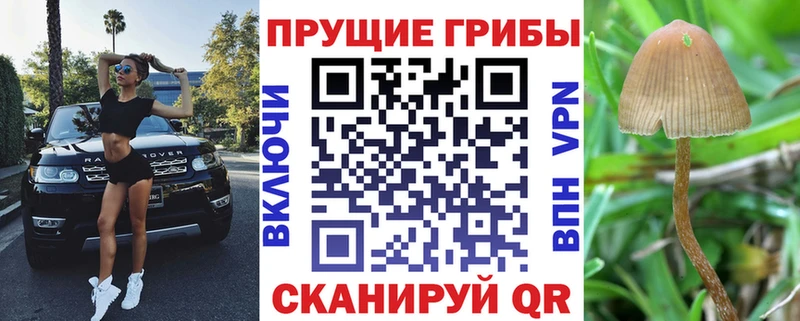 Псилоцибиновые грибы MAGIC MUSHROOMS  Купить где  Губкин 